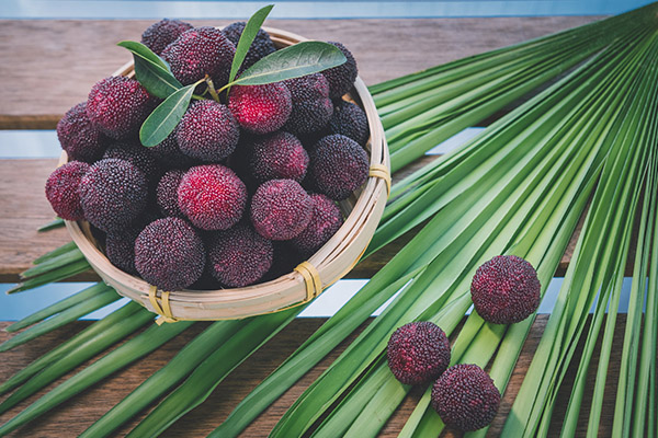 冻疮如何食补比较好