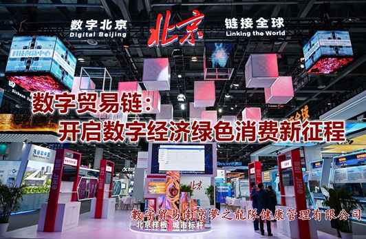 数字贸易链：开启数字经济绿色消费新征程